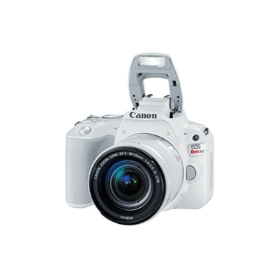 Canon EOS Rebel SL2 24.2MP DSLR Camera
